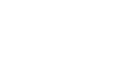 VyprLightLogo